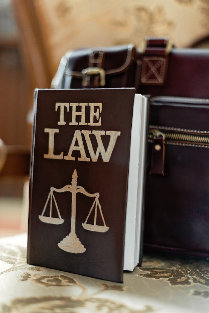 Services Close-up of a law book titled 'The Law' beside a leather briefcase.